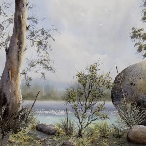 Magnetic Island by Dave Sparkes