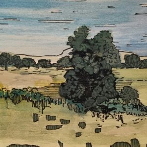 The plains by Mark Rowden