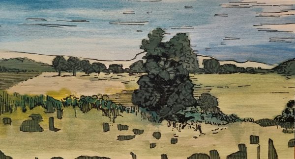 The plains by Mark Rowden