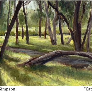 Catching The Sun by Andrew Simpson
