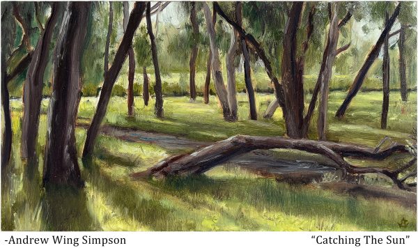 Catching The Sun by Andrew Simpson