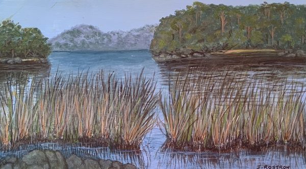 Tarbuck Bay by Judith Rostron