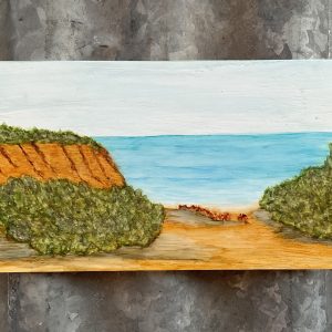 Up The Coast From Broome. WA  by Bernadette Wilson