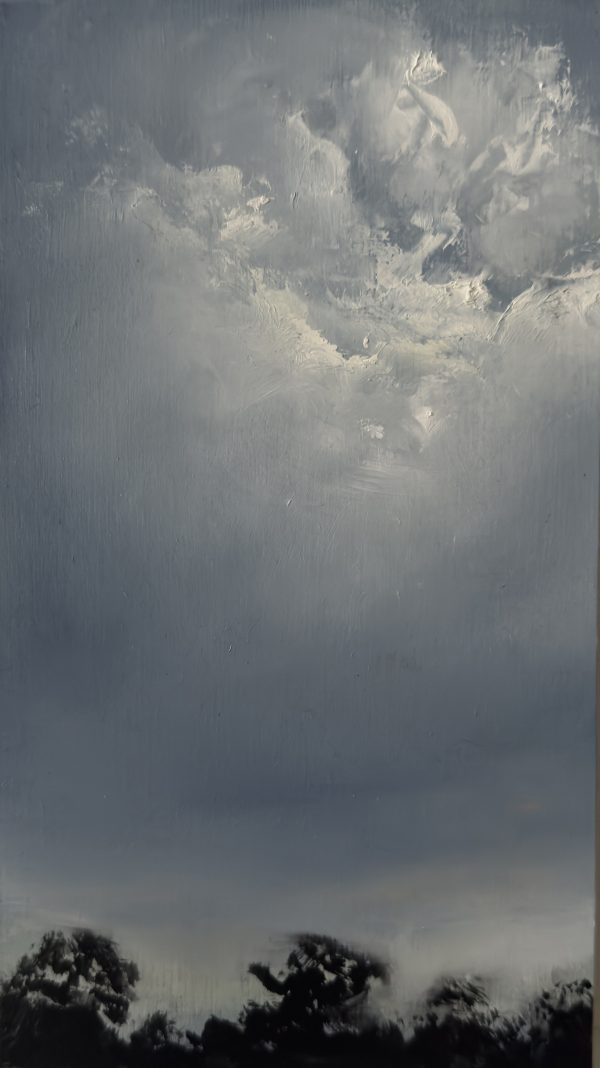 Turbulent Sky by Kari Henriksen