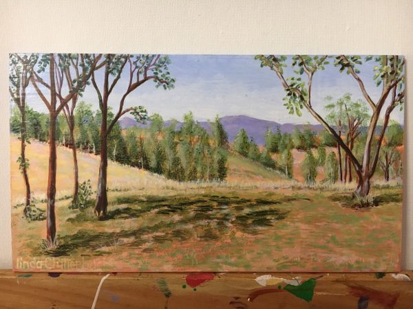 Silver Spur, Texas QLD 4385 by Linda Clutterbuck