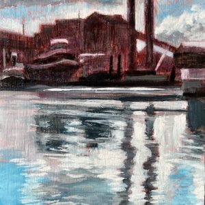 The transience of light by toni mcdowell