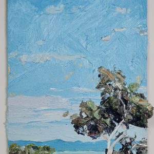 Sun on Wallis Lake, Booti Booti by James Lyle