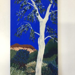 Ways of Seeing  Alice (Mparntwe) by Anne-Maree Armstrong