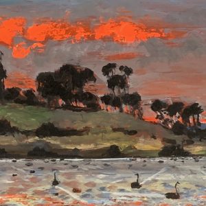 Swans of Connewarre 6.30 am by Glenda Fell Jones
