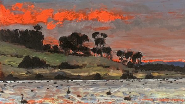 Swans of Connewarre 6.30 am by Glenda Fell Jones