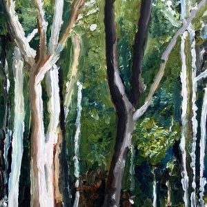 Brown lake Minjerribah by jim mullins