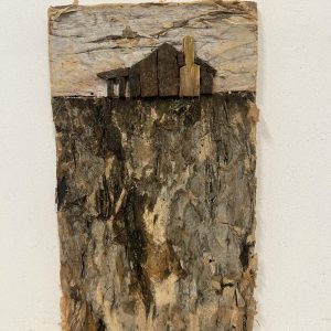 House of Bark by Allen Strauss McCristal