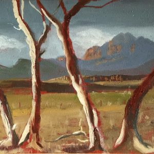 Oratunga: Heysen's Haunt by Caroline Johnson