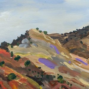 Brachina Gorge 16:24 July 18th 2024 by Mook Simpson