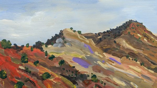 Brachina Gorge 16:24 July 18th 2024 by Mook Simpson