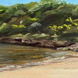 Sirius Cove before Solstice by Lindie Treleaven
