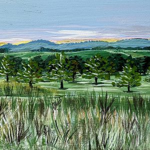 Mayfield Dawn by Nicole Miranda