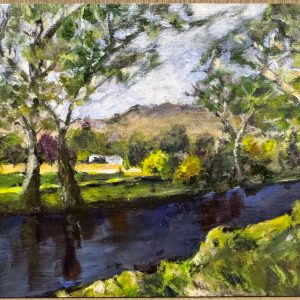 After  Rain in  Ogunbil NSW by Kerrie Ninni