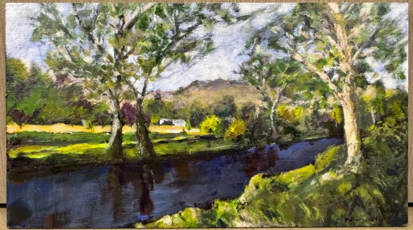 After  Rain in  Ogunbil NSW by Kerrie Ninni