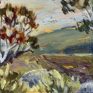Dead Horse Gap by Meg Walters
