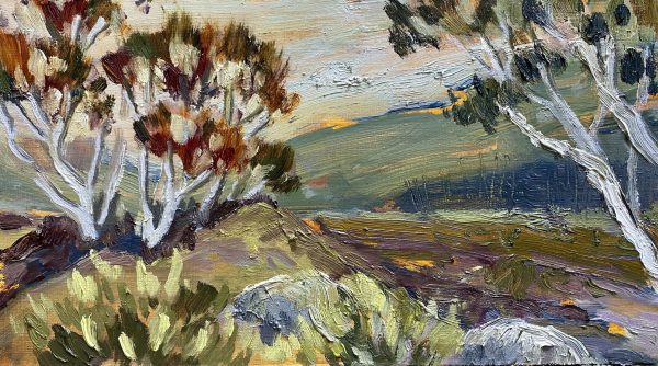 Dead Horse Gap by Meg Walters