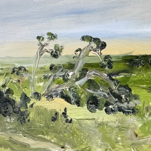 Lonsdale Moonahs no.1 by Paul Waycott