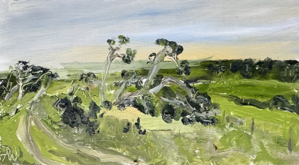Lonsdale Moonahs no.1 by Paul Waycott