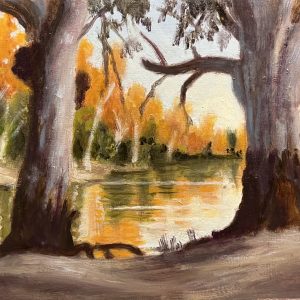 Murray River Sunset by Fiona Merlin