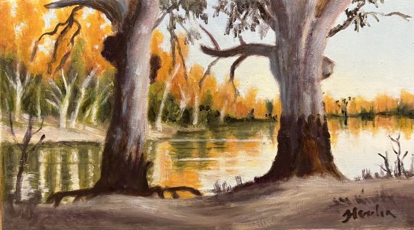 Murray River Sunset by Fiona Merlin