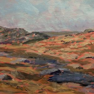 Wrights Creek before the snow by Carolyn Panozzo