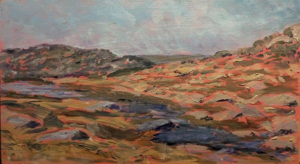 Wrights Creek before the snow by Carolyn Panozzo