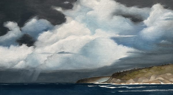 Stormy View from Angourie by Gina Grave