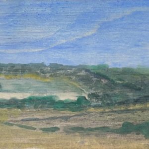 From the train into Sunbury by Laura van der Spek