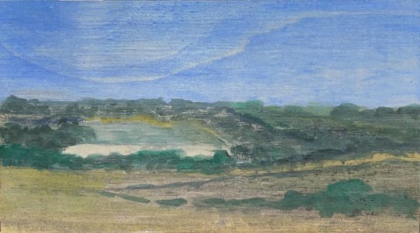 From the train into Sunbury by Laura van der Spek