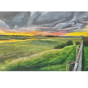 Maitland by Ruth Hughes