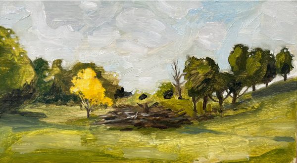 The Fire Pile by Tamsin Ainslie