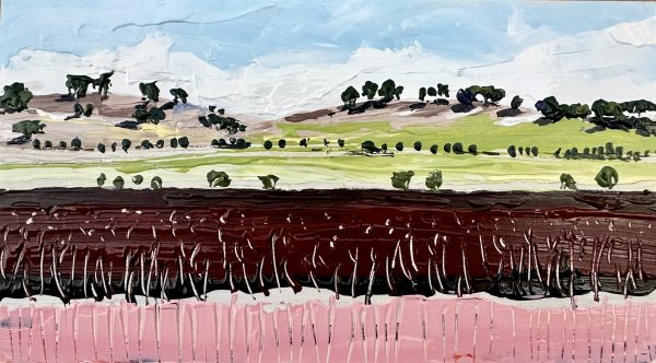 Sorghum and red natal grass near Oakey by Julie Purdie