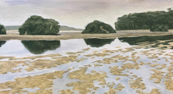 Narrawallee Wetland Low Tide by Browen Bassett