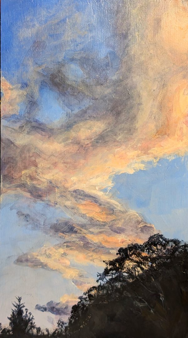 Sky Diary July 8, Narrawallee by Clare Rose
