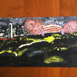 New Year's Eve Fireworks, Overcast Night by Lisa Farmer