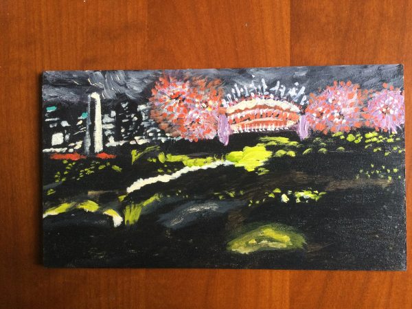 New Year's Eve Fireworks, Overcast Night by Lisa Farmer