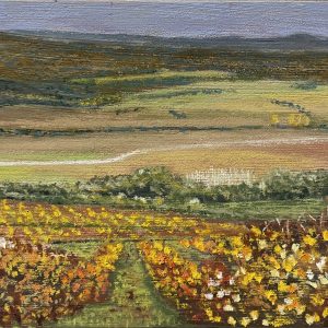 Hillside Vineyard by Stuart Wiscombe