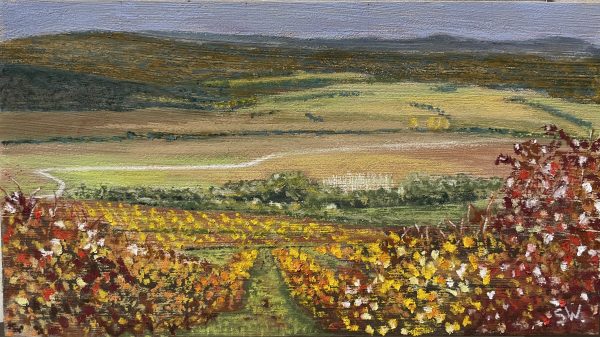 Hillside Vineyard by Stuart Wiscombe