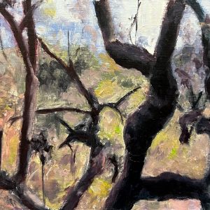 Arboreal Dance by Shlomit Leinkram