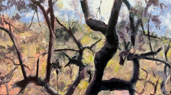 Arboreal Dance by Shlomit Leinkram