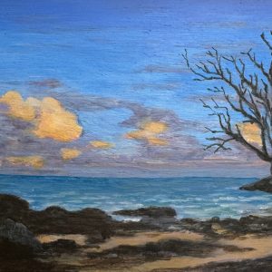 Little Beach by Andrew Raymond
