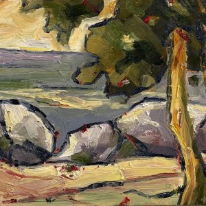 Where the parrots sing by Ann Collins