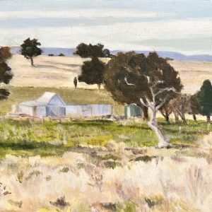 Duramana Road by Susie Stubbs