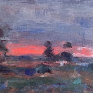 Fowlers sunset by Jasmin Vrachas