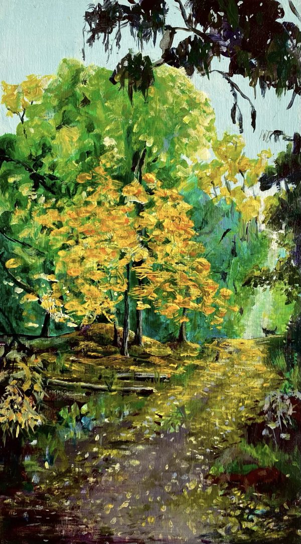 Winter Wattle in the Hunter by Sally Bassett